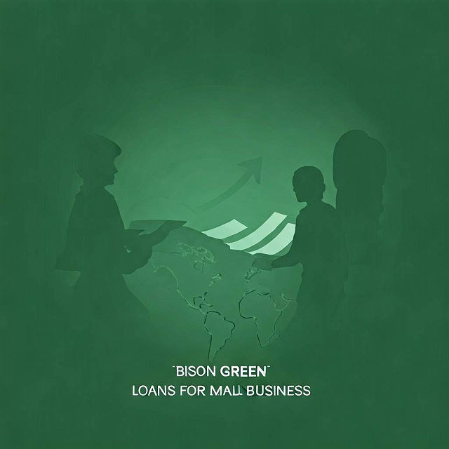 Bison Green Loans For Small Businesses